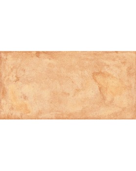 Carrelage Effet Terre Cuite Ceramica Rondine Terrae 20.3x40.6